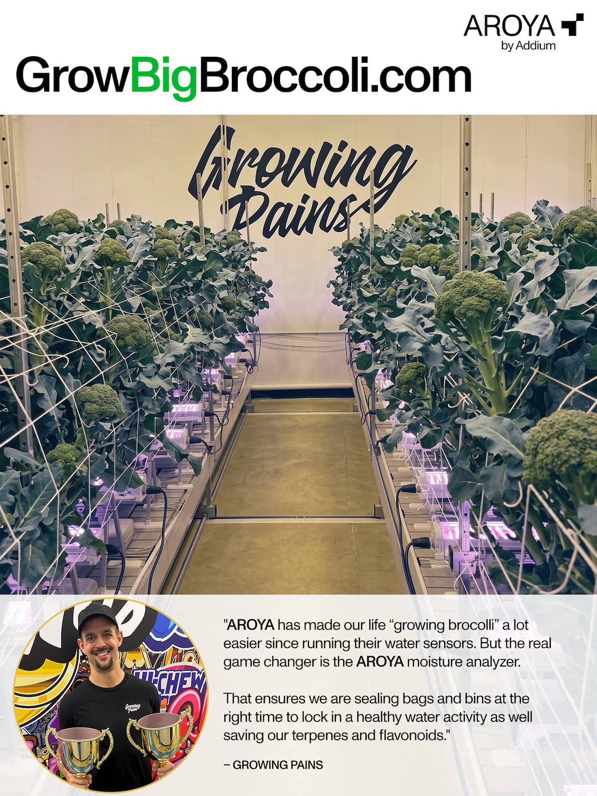 Grow Big Broccoli Meta Ad