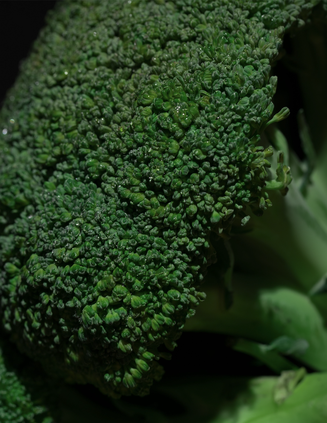 Grow Big Broccoli