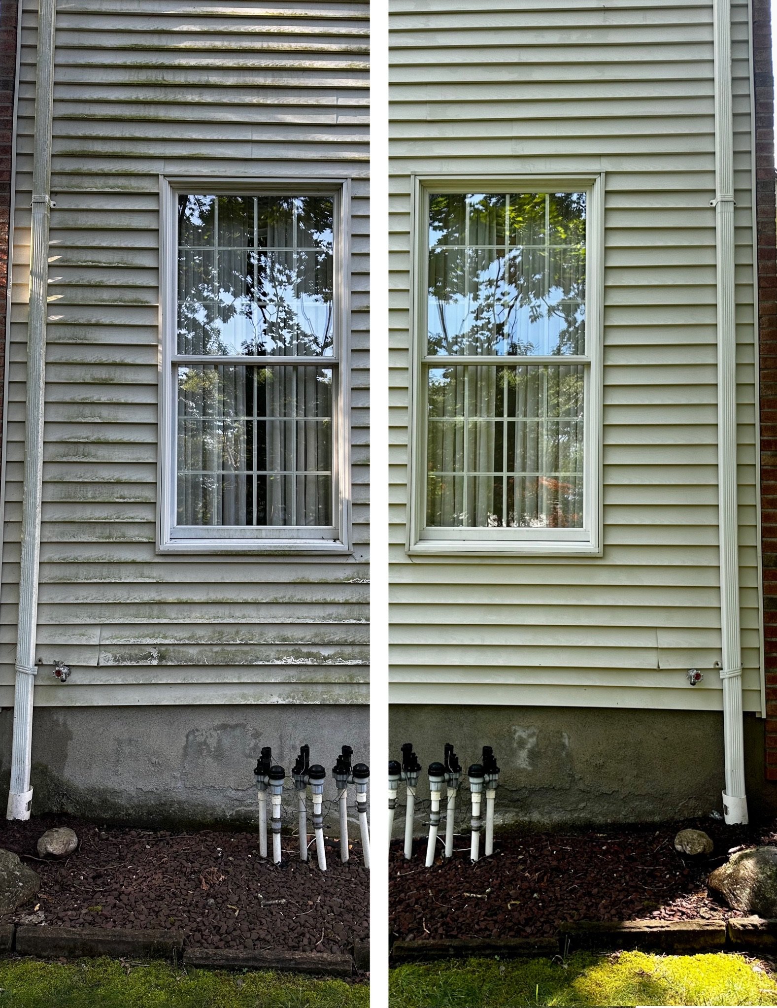 House siding algae removal before and after