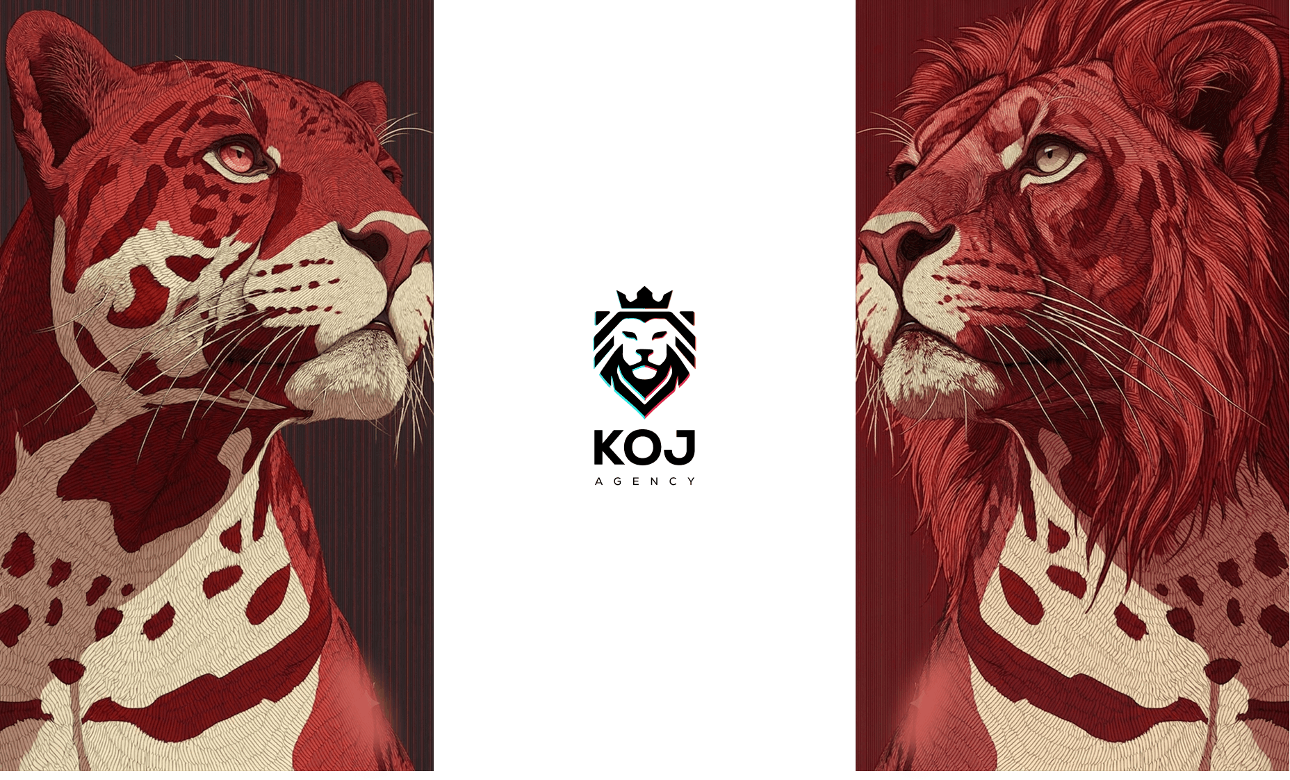 KOJ visual section