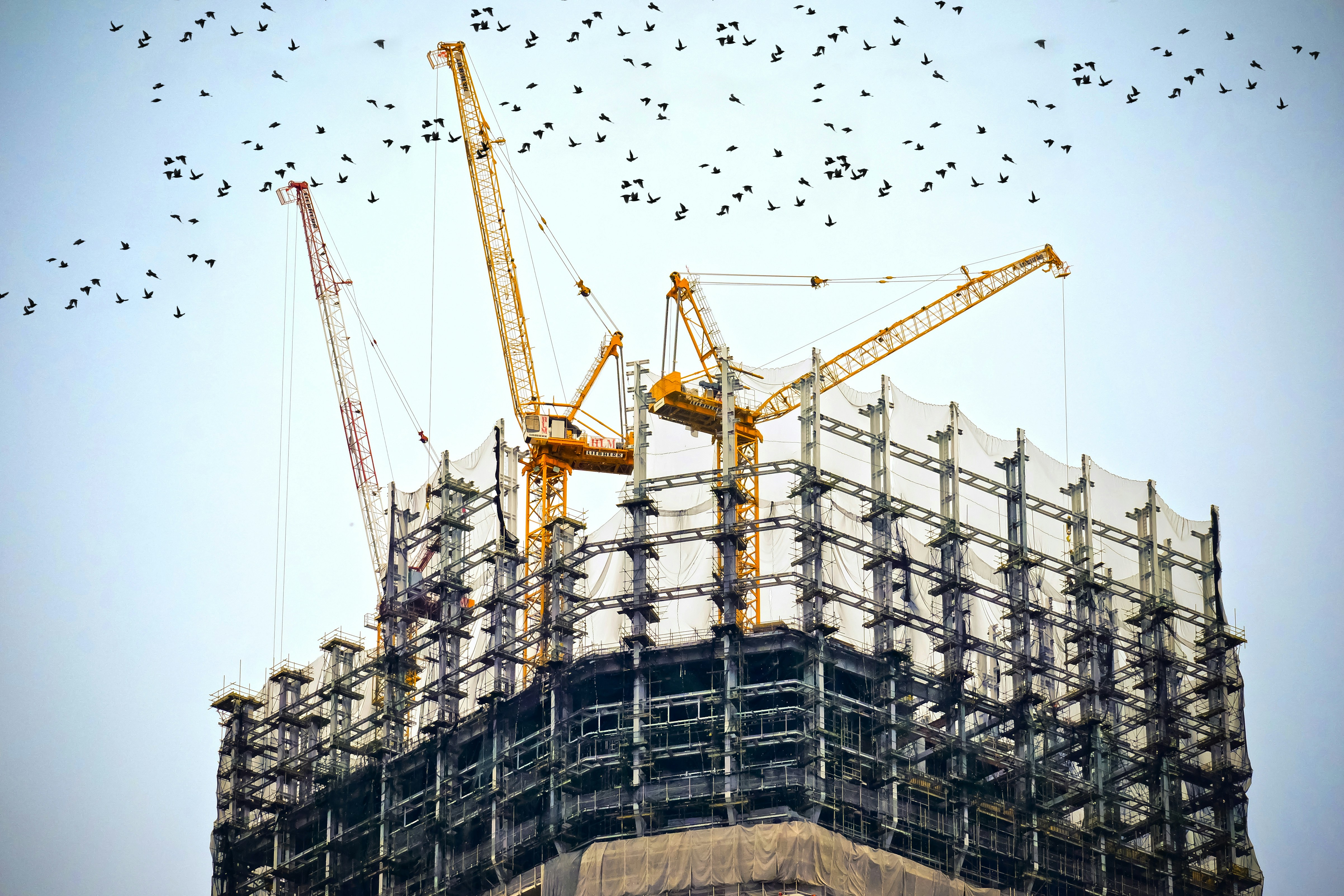 trades, construction, engineering,oil & gas and mining