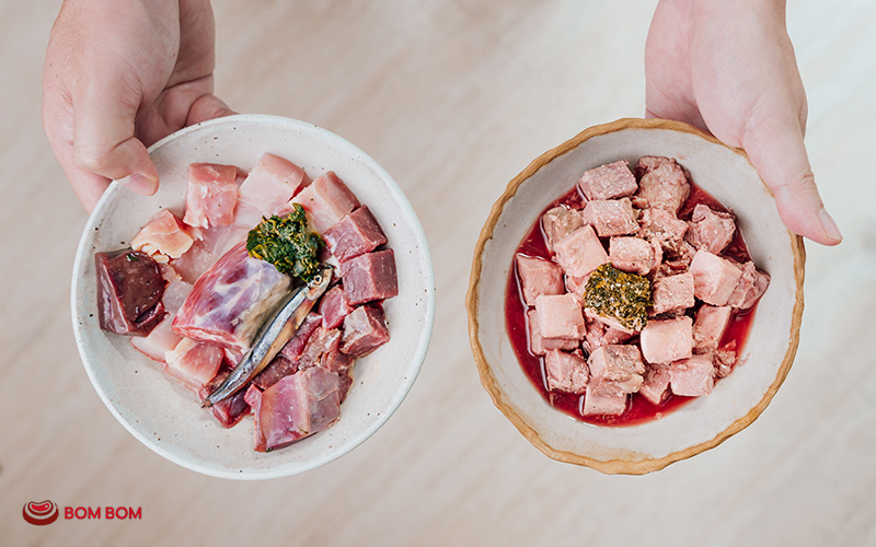 Raw and gently cooked dog food compared for digestive health
