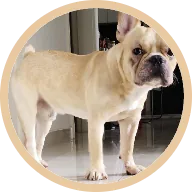 Hugo, clear of yeast and 2kg heavier after four months on BOM BOM