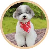 Hopey, with clear eyes and settled digestion on BOM BOM fresh meals