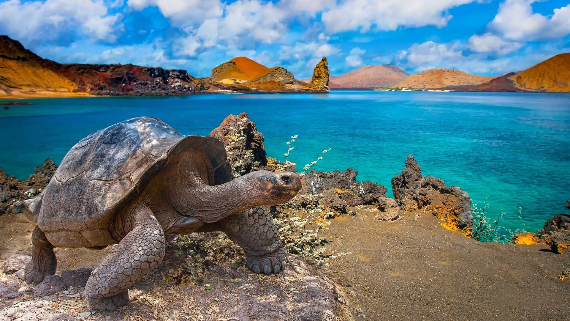 Galápagos