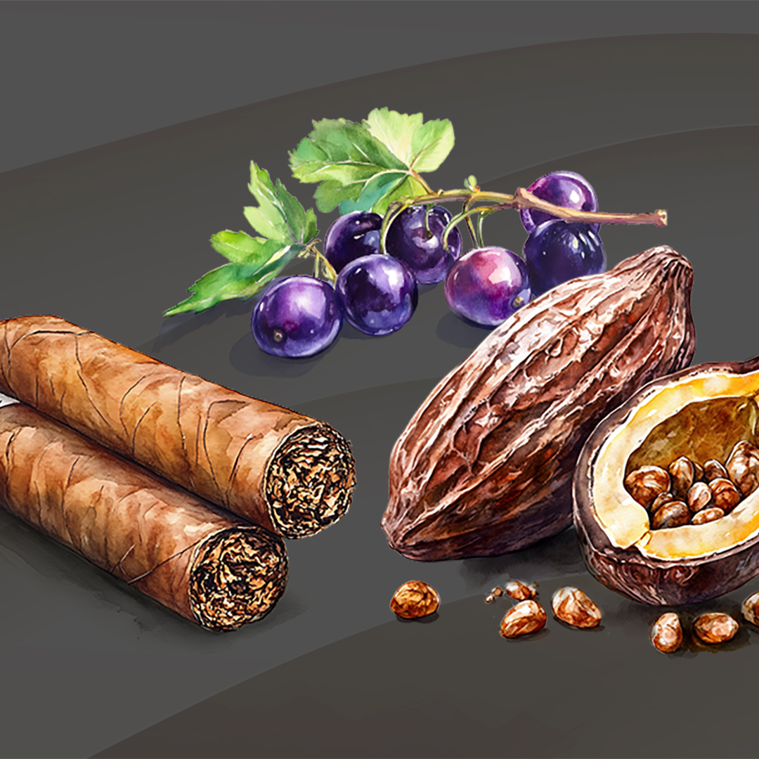 Ripe black fruits
Bitter cacao
Cigar tobacco