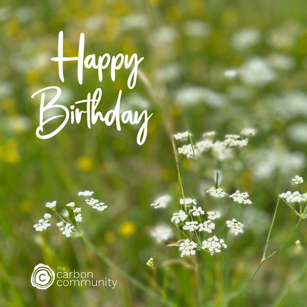 Whorled Caraway with Happy Birthday Message
