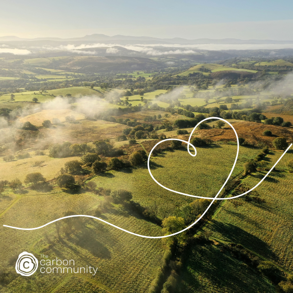 Glandwr Forest view with heart image