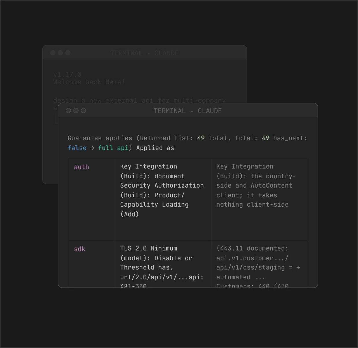 Terminal window showing API integration details with auth and sdk keys and TLS 2.0 minimum requirements.