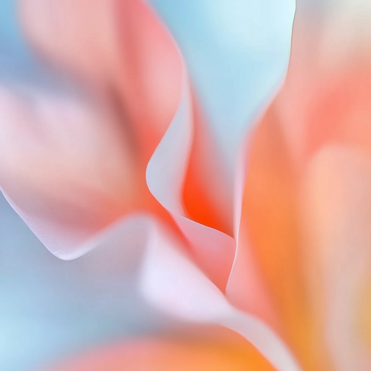 Dreamy pastel abstract background with soft flowing gradients