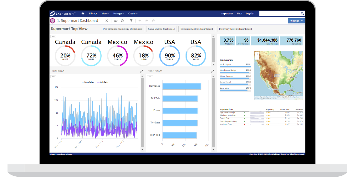 Executive Reporting Example