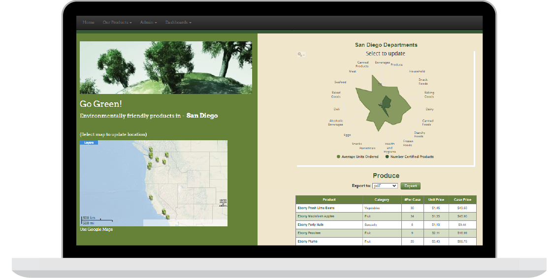 Report Embedding Example