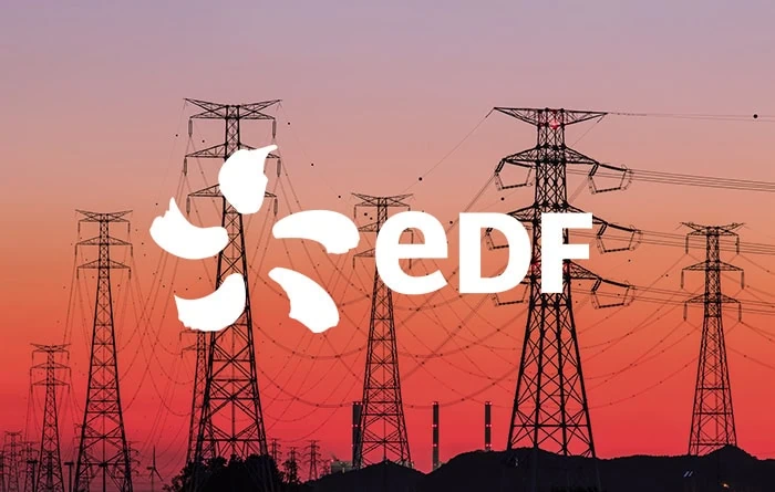Électricité de France (EDF) logo
