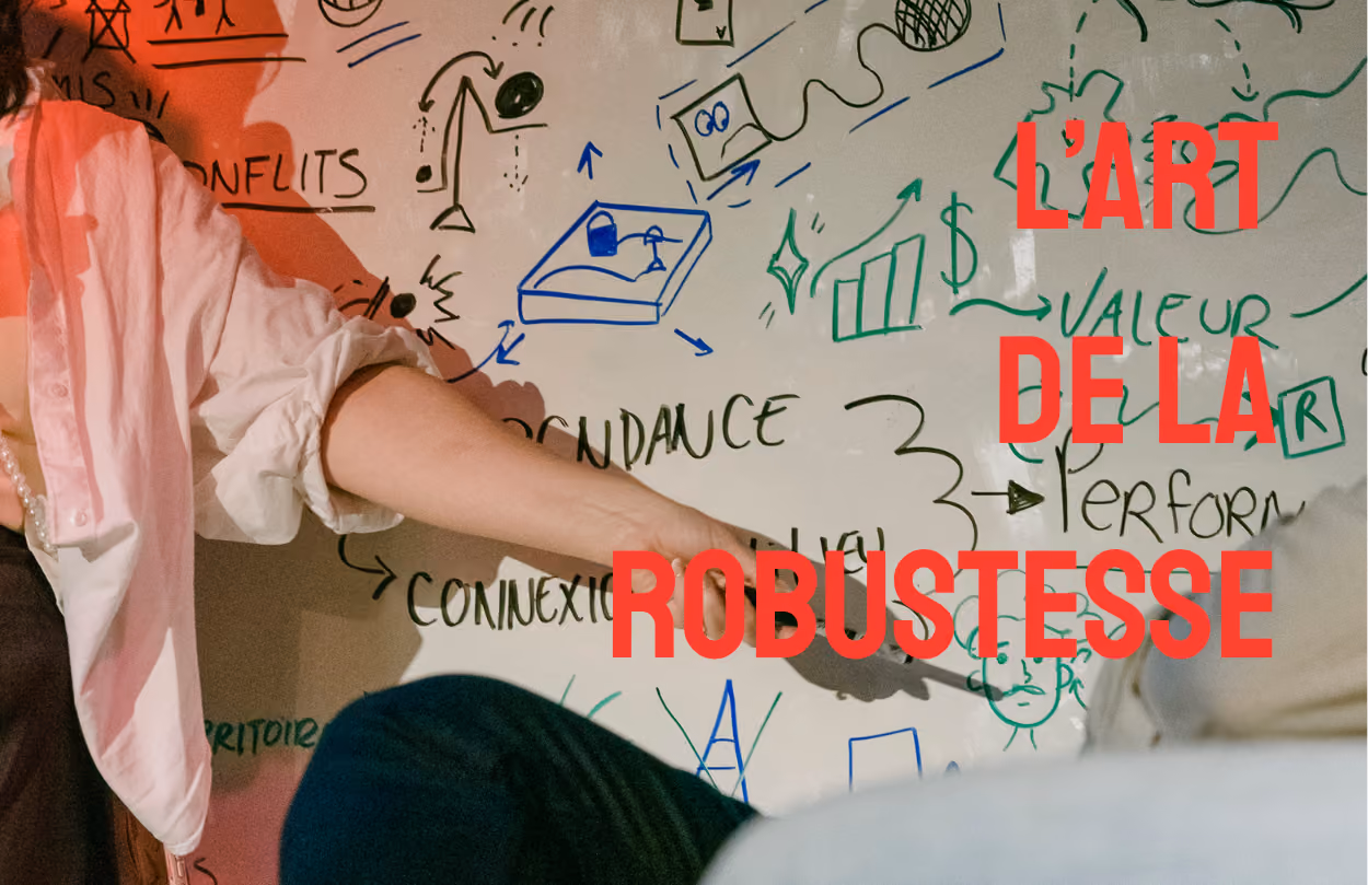 L'Art de la Robustesse