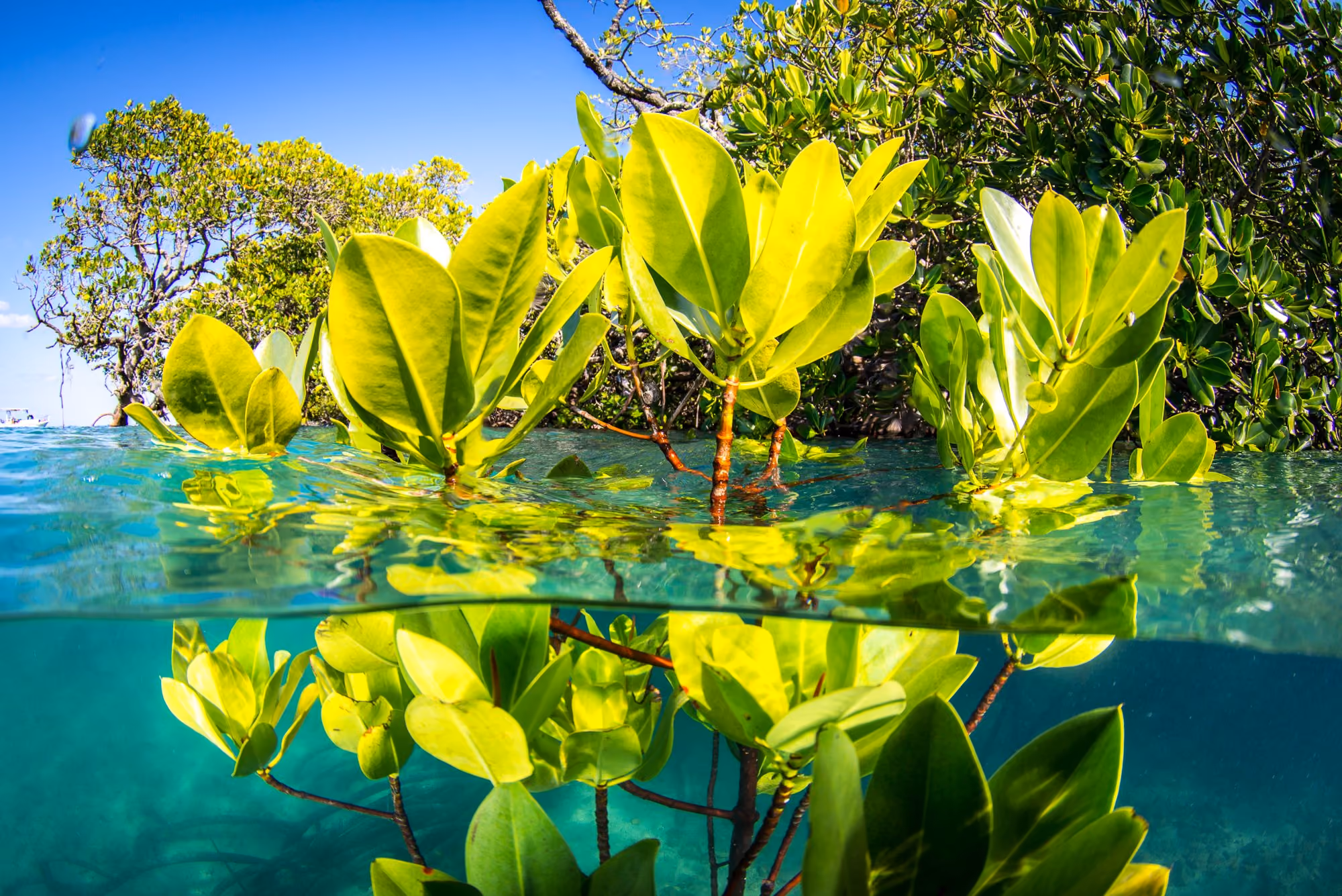 Impact: our promise, UltraSwim 33.3 sustainability