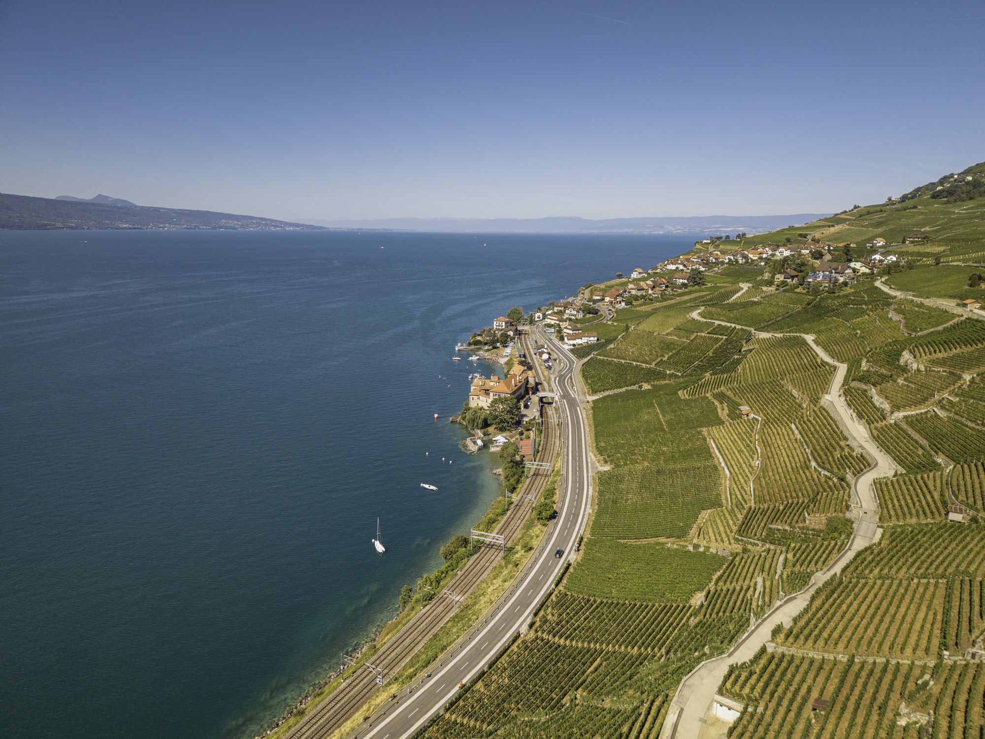 UltraSwim 33.3 #14 Switzerland, drone view of the UNESCO Lavaux vineyards