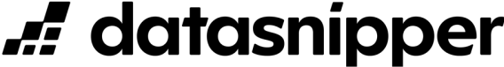 Datasnipper logo with stylized black blocks forming an abstract design to the left of the lowercase word 'datasnipper'.