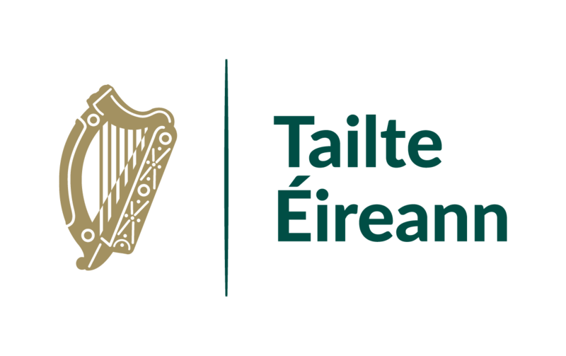Cyber Security Tailte Eireann