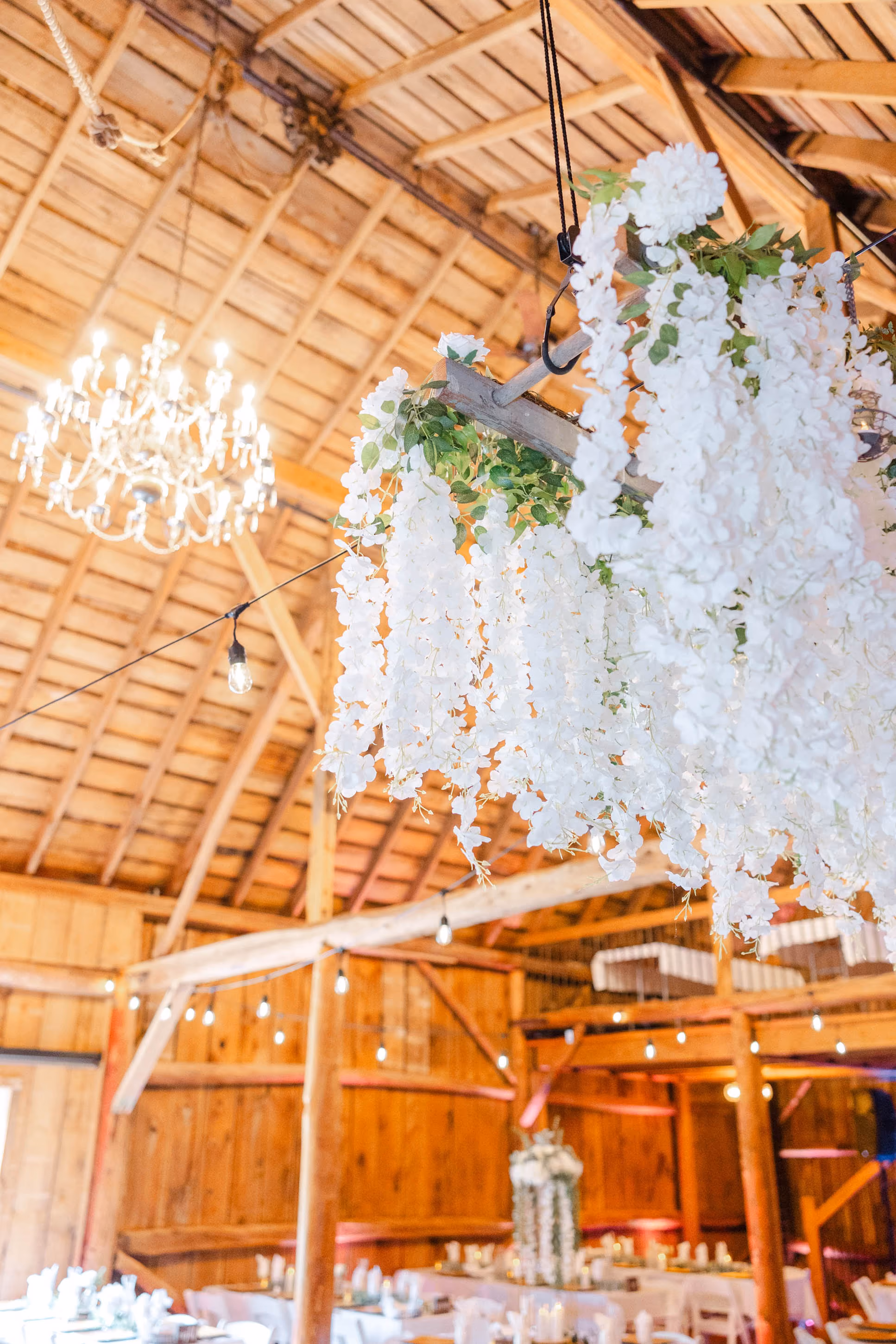 image of event decoration with lights for a wedding planning service