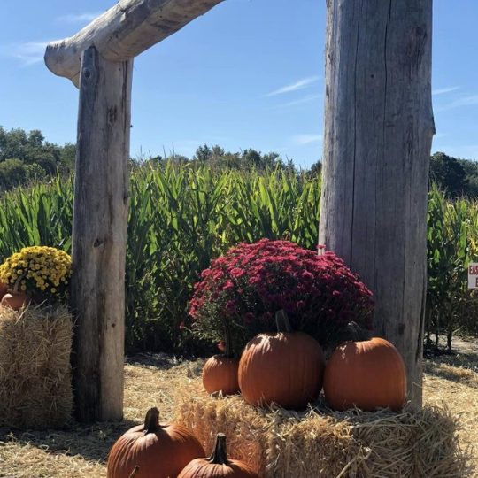 fall-photo-op-pumpkins-red-barn-farm-hammonton-nj