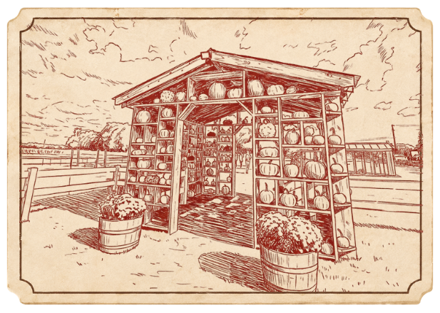apples-crate-illustration