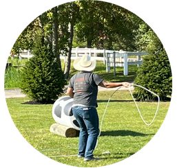 attraction-rope-the-bull