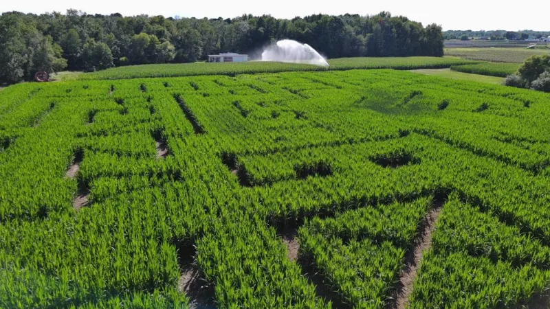 giant-corn-maze-aerial-view-red-barn-farm-hammonton-nj