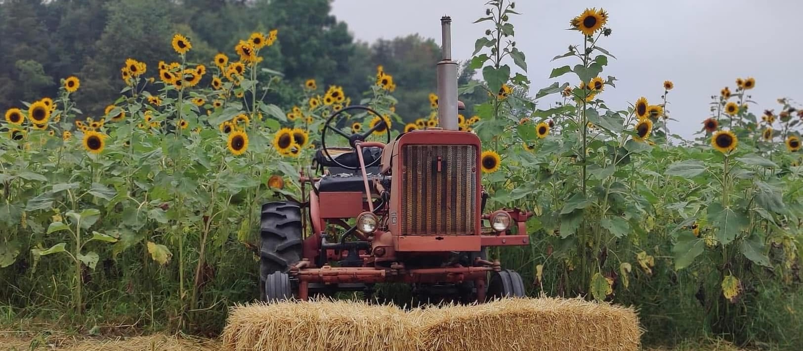 contact-us-banner-red-barn-farm-fairgrounds-hammonton-nj