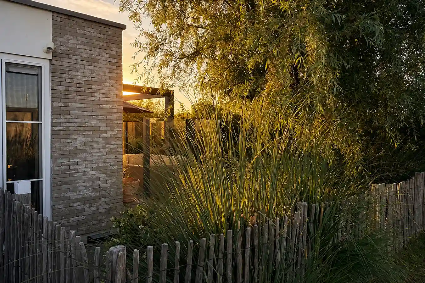 Garten der Ferienlodge Zeeland mit Terrasse, hohen Gräsern und Sichtschutz am Abend