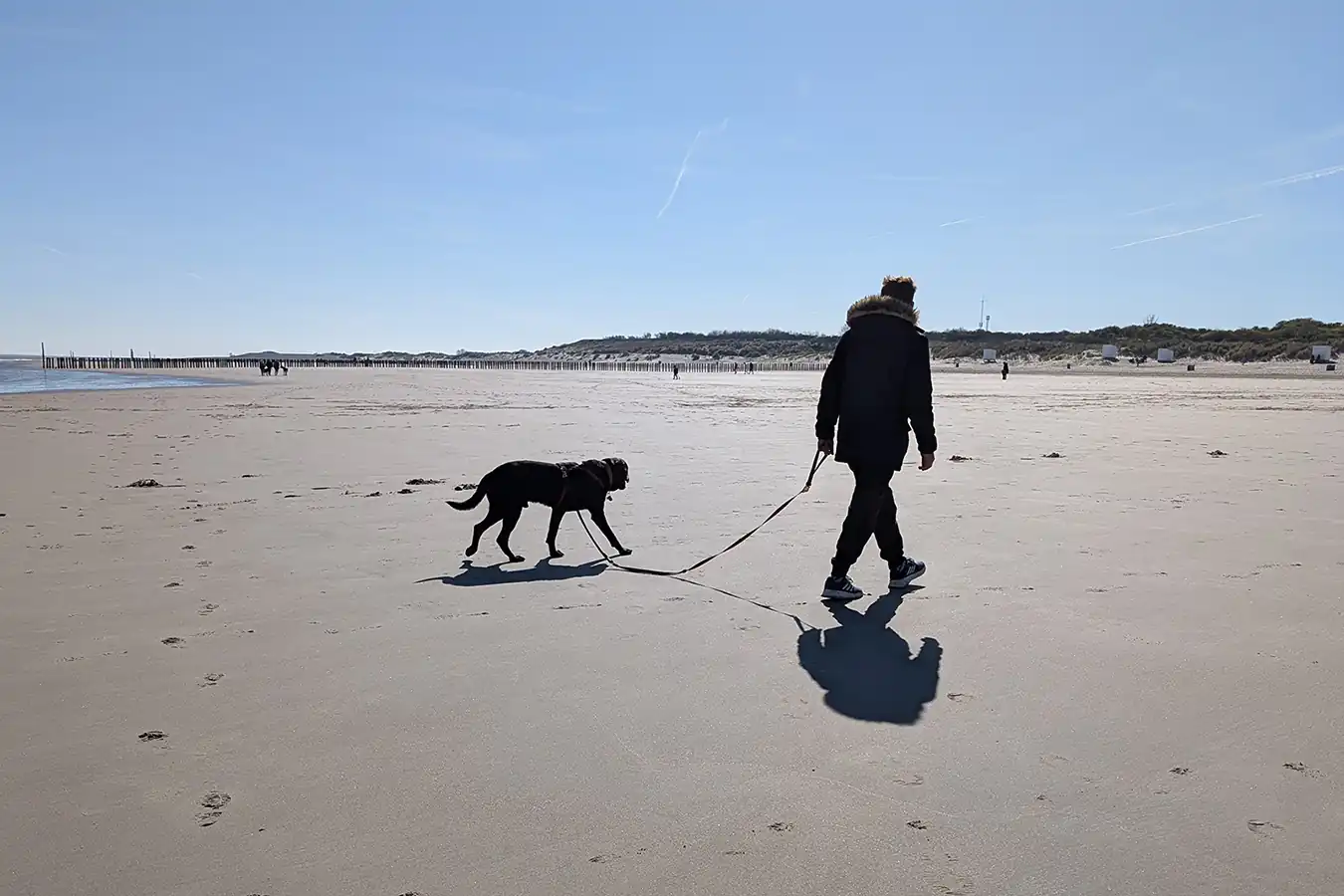 Hundespaziergang am Sandstrand nahe Breskens