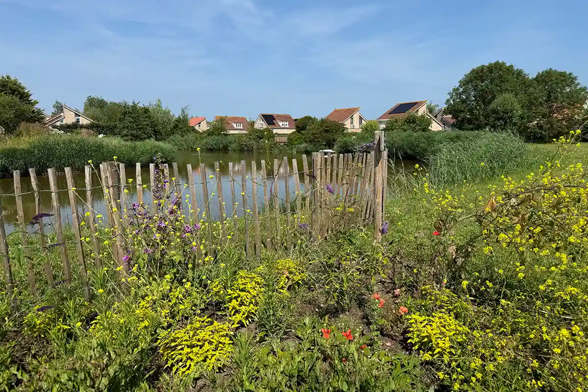 Wohnhäuser und Grünanlage im Ferienpark Zeebad