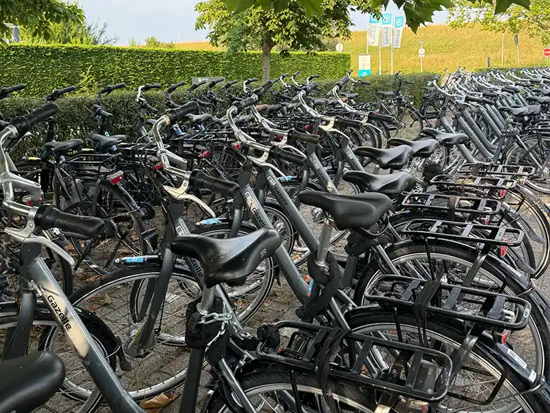 Abgestellte Fahrräder in einem Fahrradständer (Symbolbild)