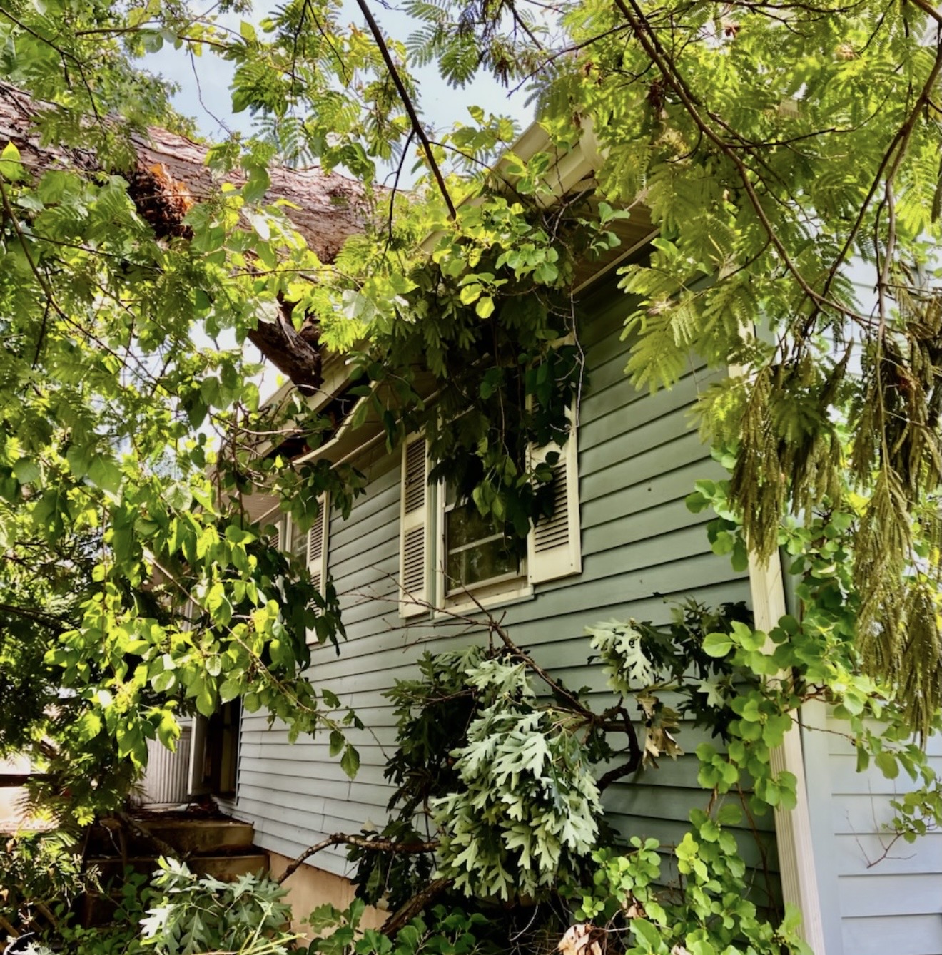 Tree impact and storm damage on a home exterior before restoration work.
