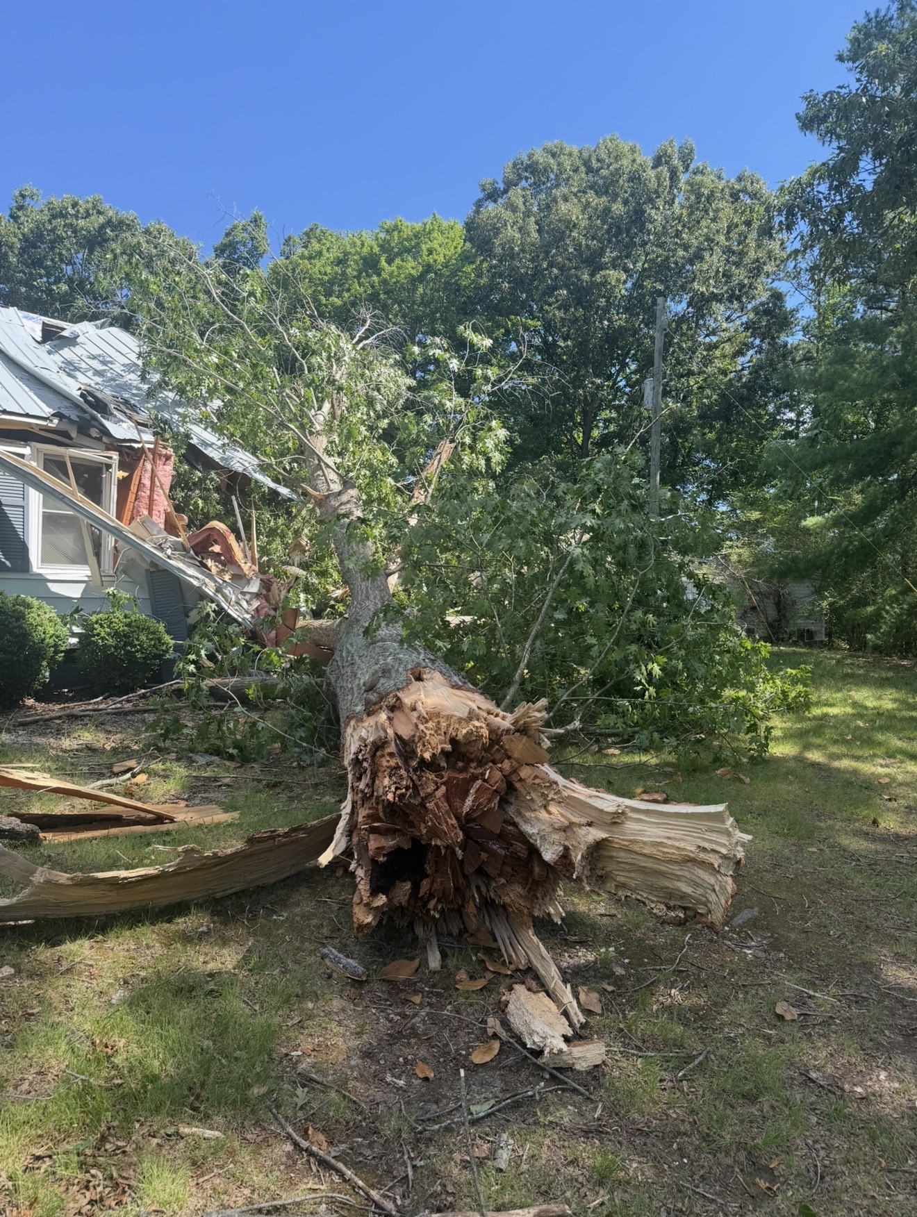 Large fallen tree and major storm damage at a residential property.