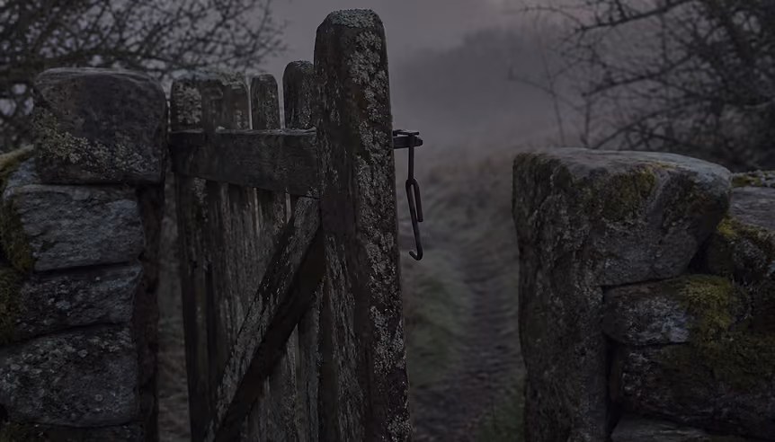 Old wooden gate in a stone wall on a misty day