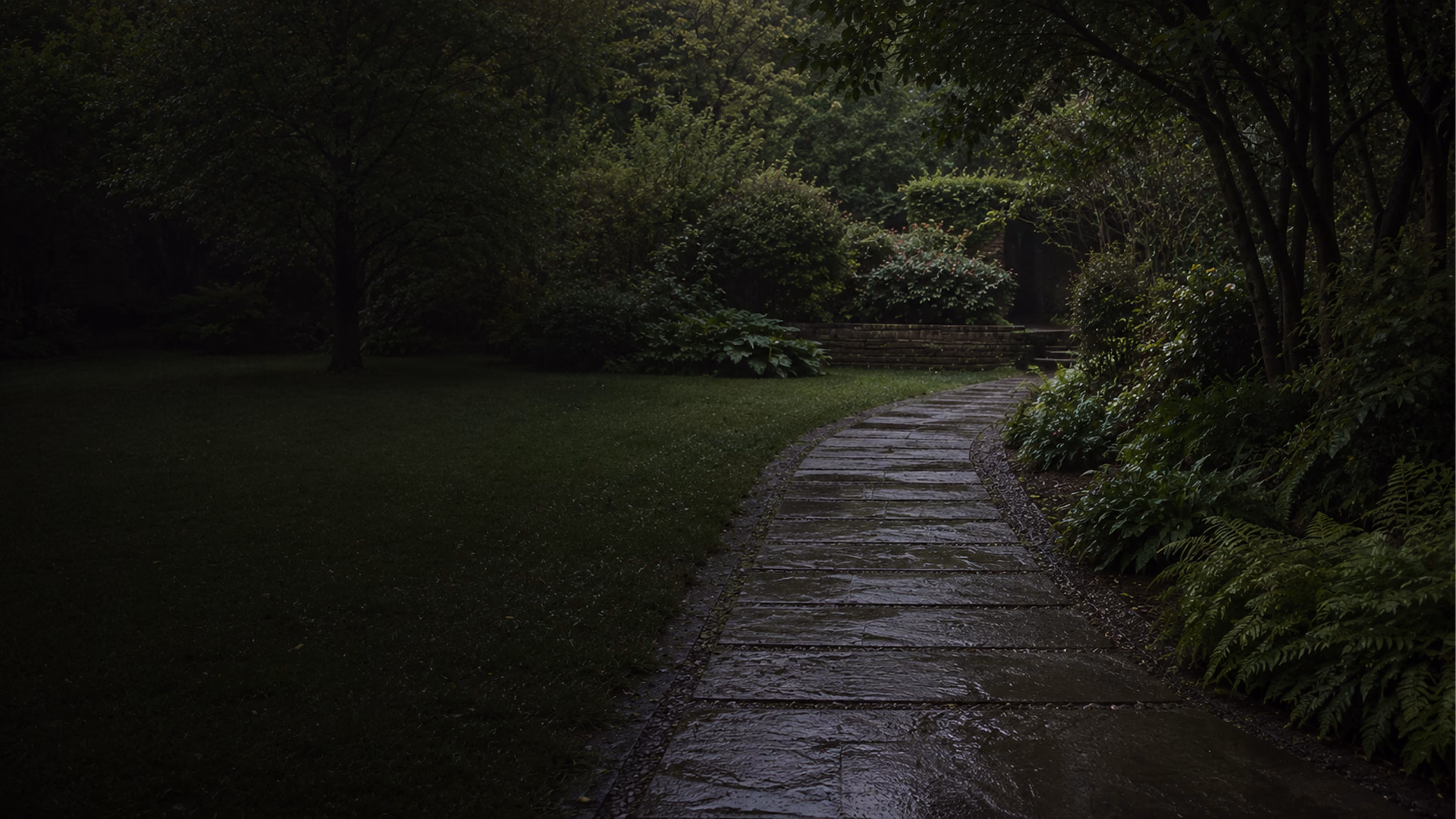 Wet garden path through lush greenery