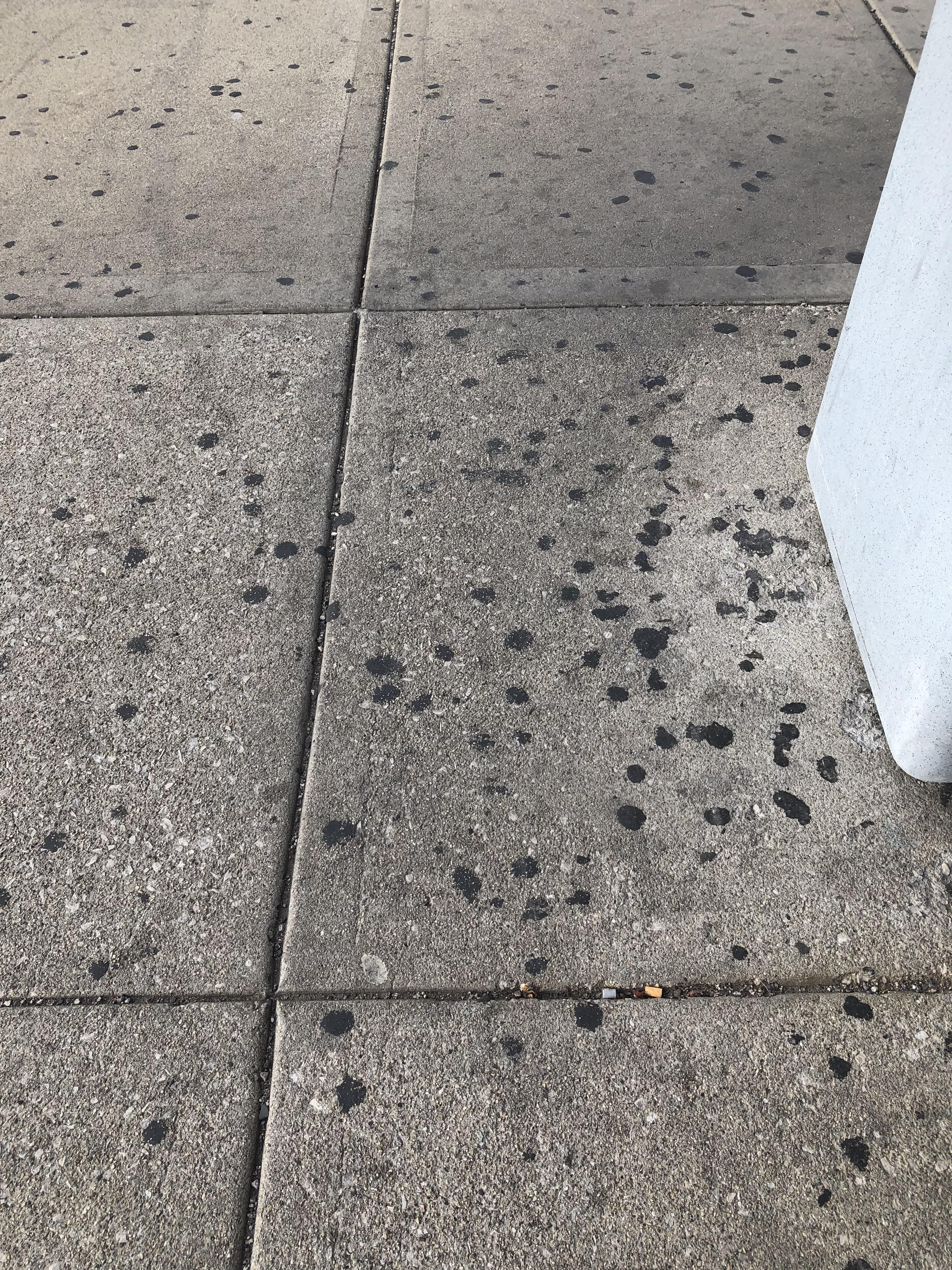 Municipal gum removal