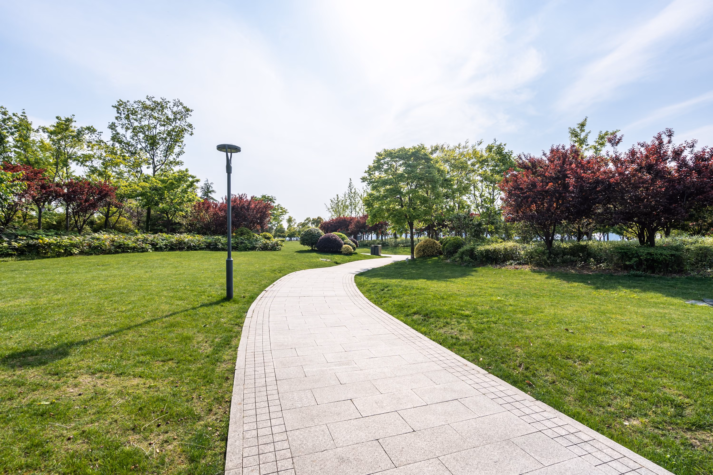 Sidewalk through the park stock image