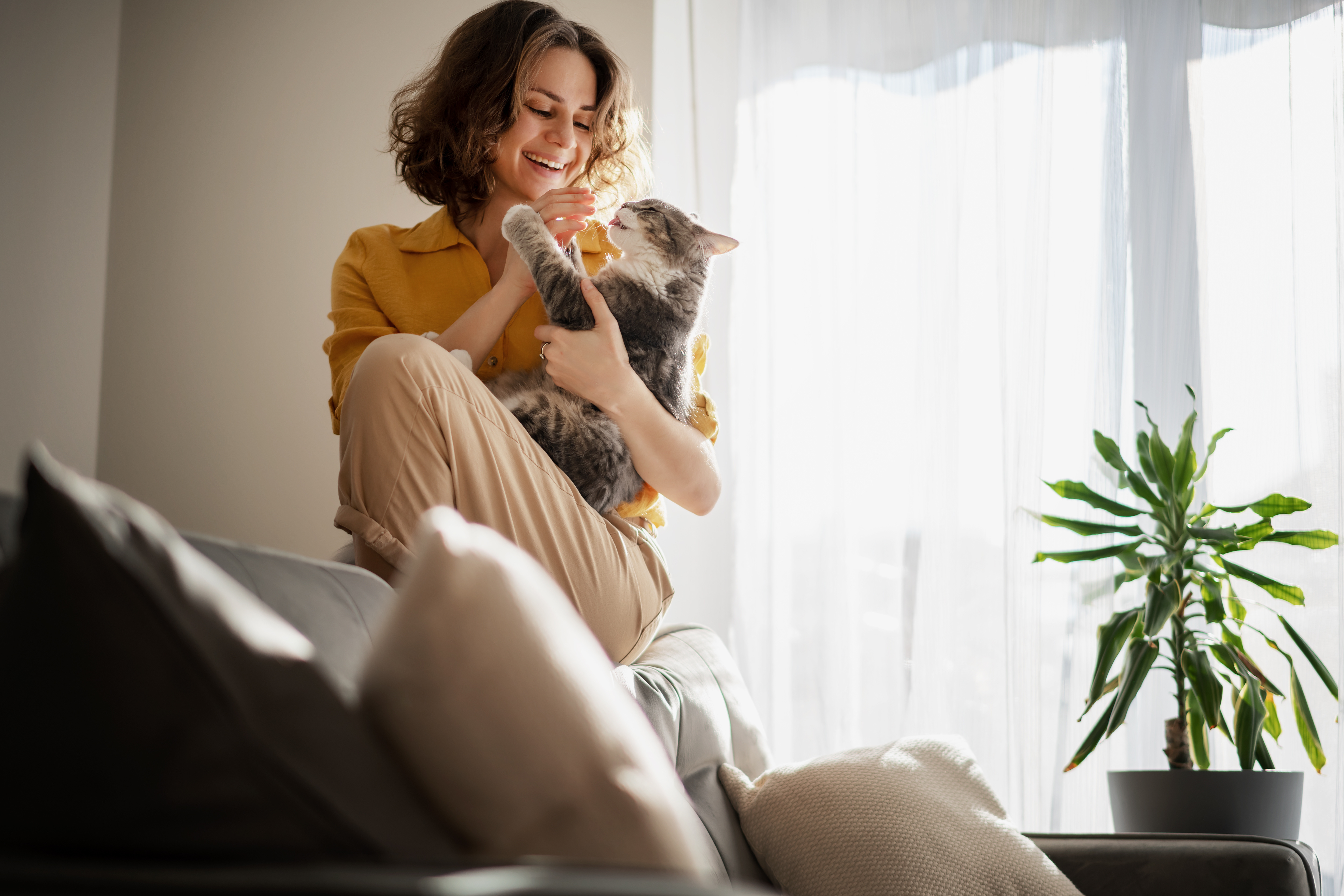Woman with cat stock image