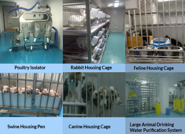 Pet Food Functional Evaluation