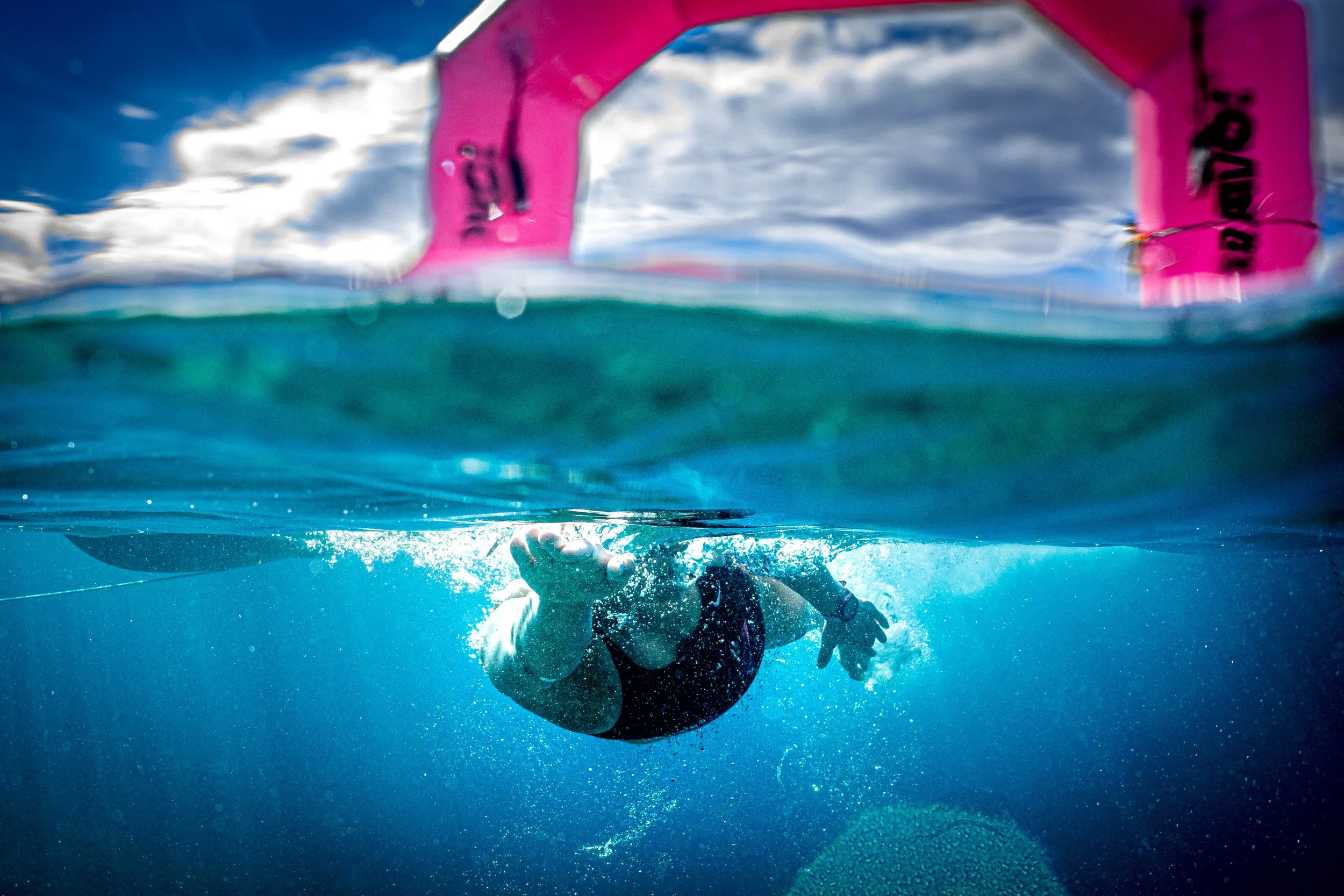 We can work together to protect the ocean that we are so lucky to swim in