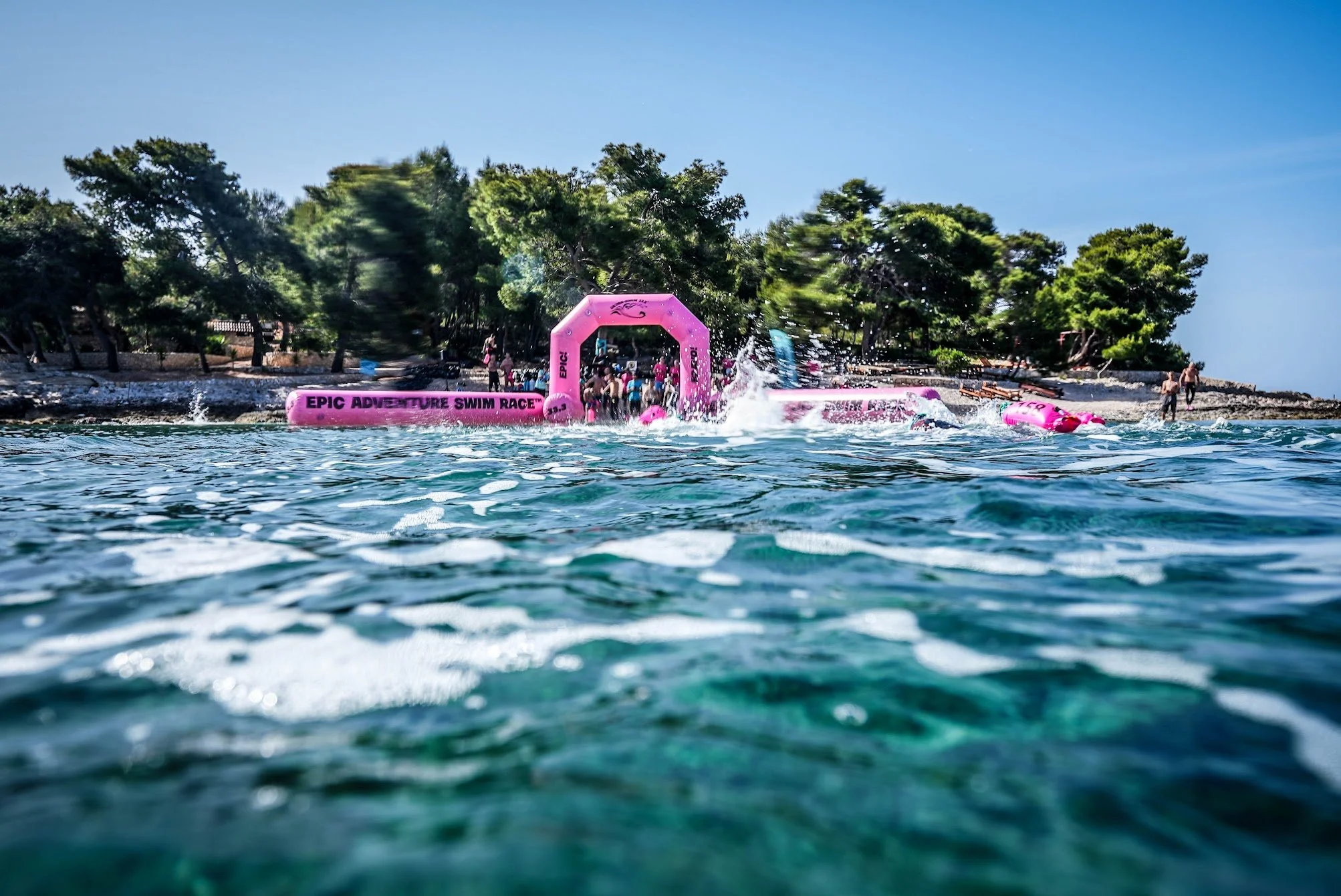How you can contribute as a swimmer