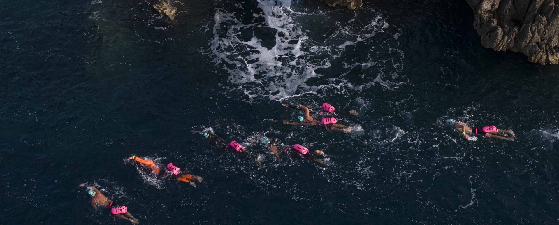 Training for Long Distance Open Water Races