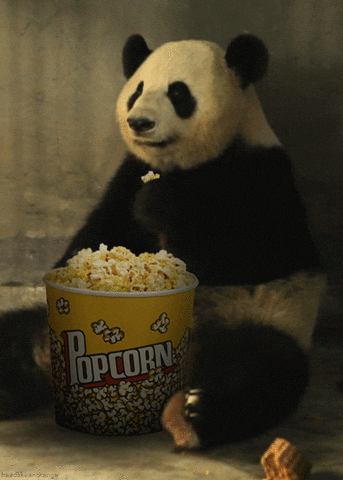 gif of a panda bear eating popcorn