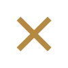 Brown X-shaped cross icon on black background.