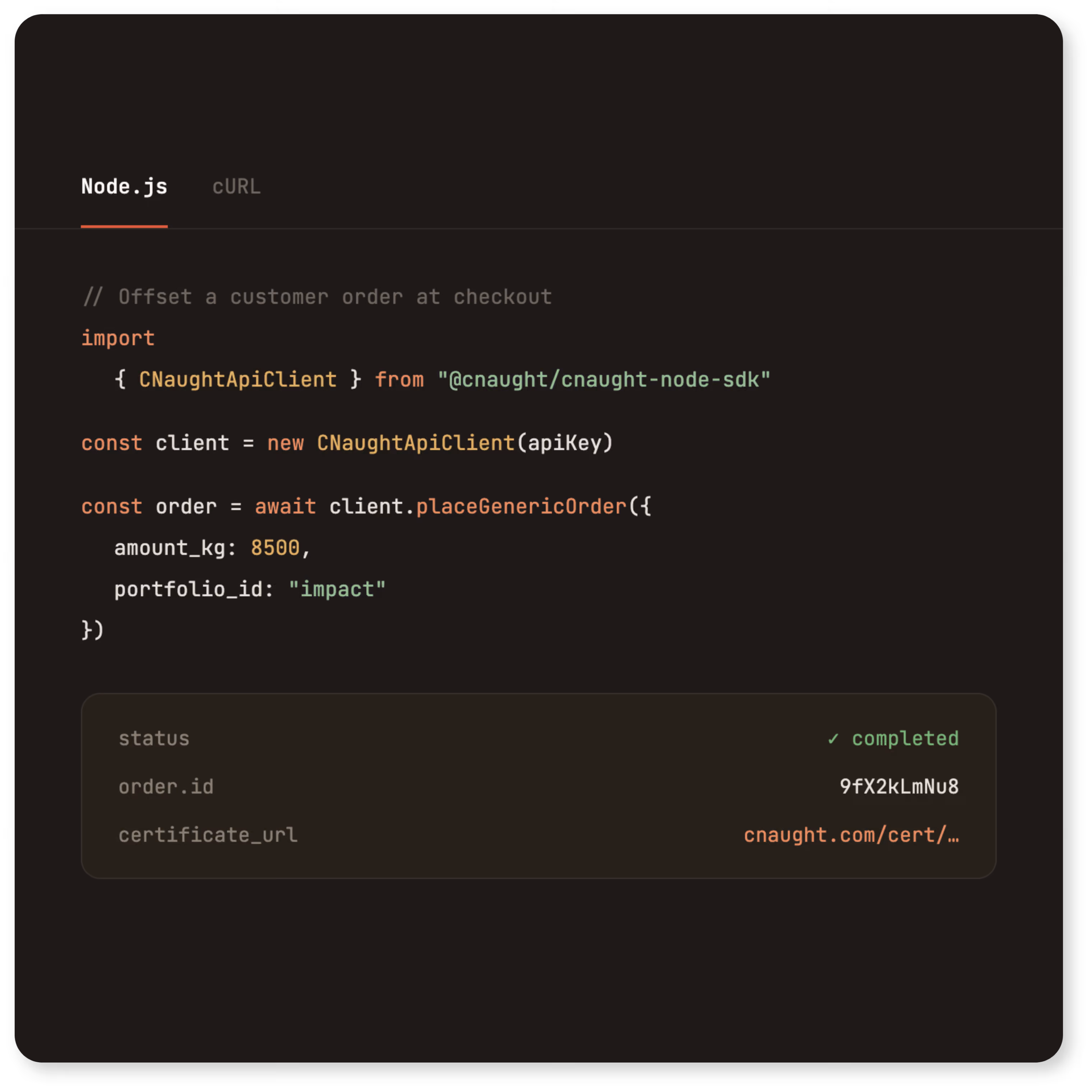 API code visual