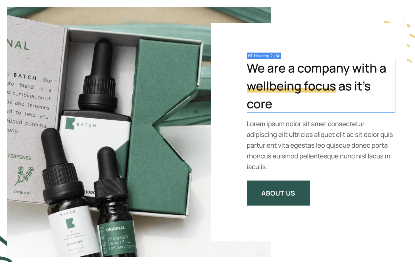 Static Content - Healthful X Webflow Template
