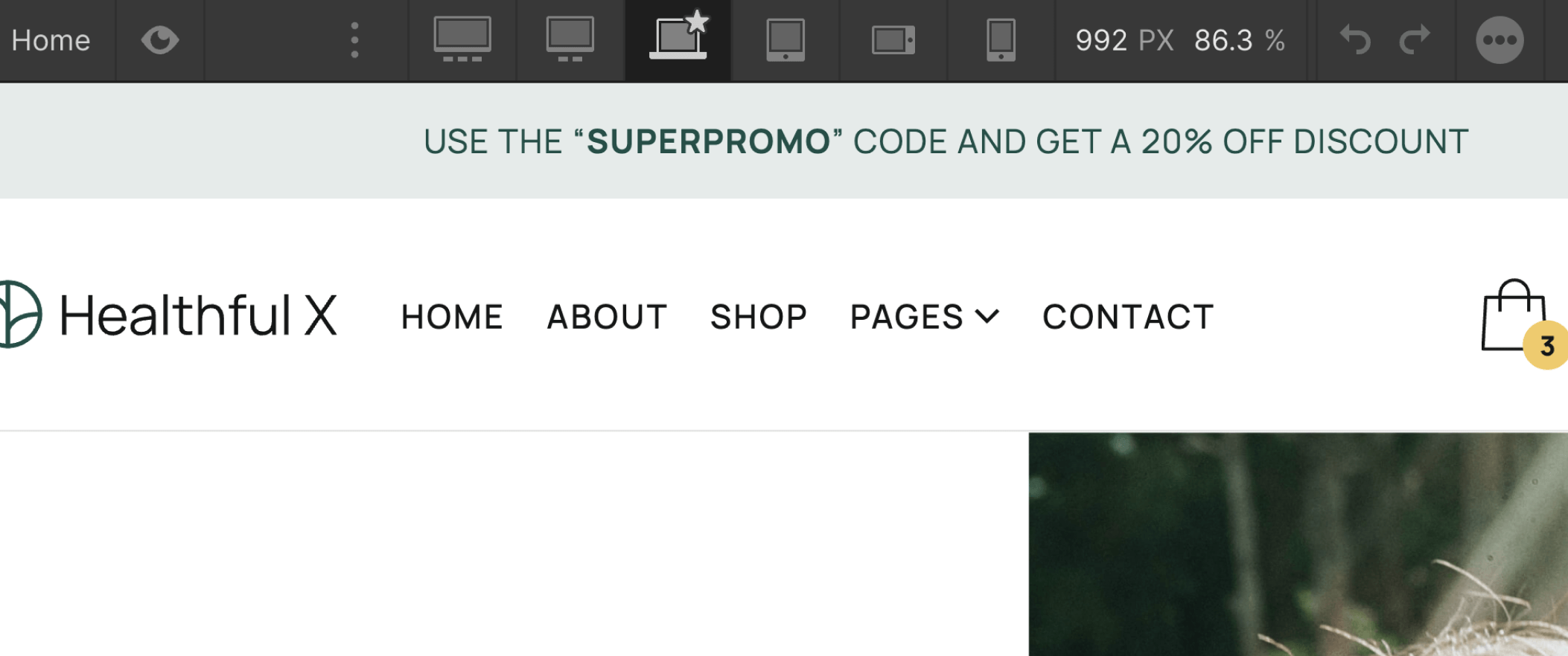 Responsive Design - Healthful X Webflow Template