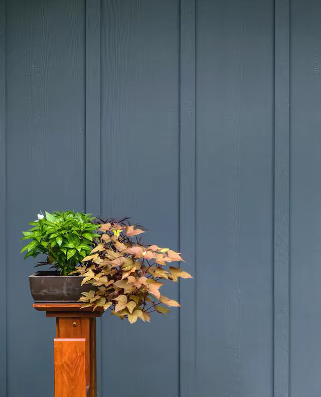 Potted plants on a wood stand in front of blue-gray fiber cement lap siding.