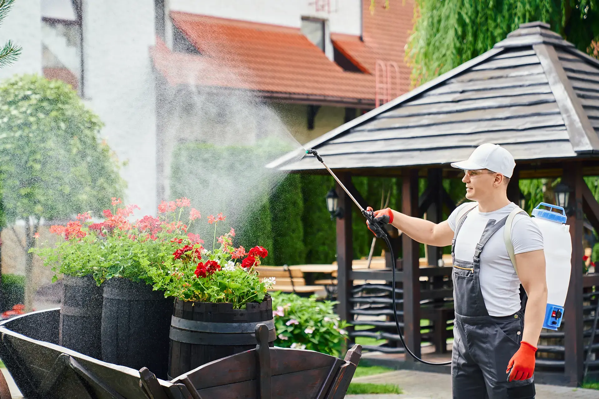 Termite King pest control service